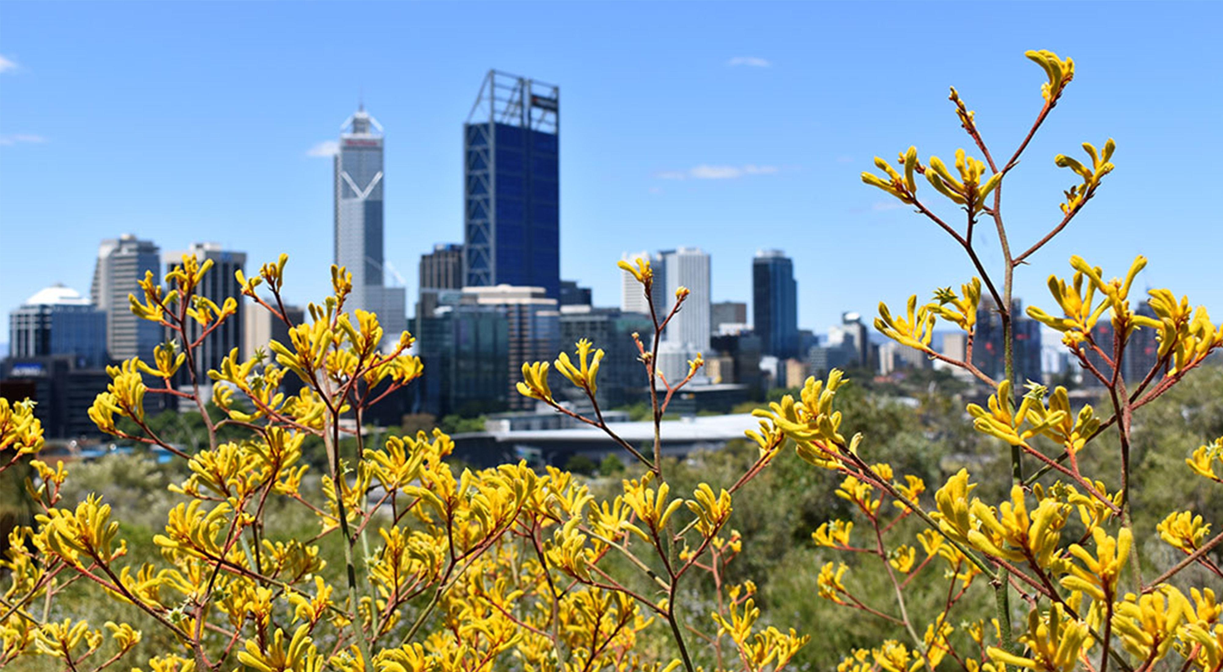 Holiday Inn Perth City Centre By Ihg Экстерьер фото